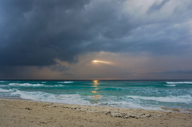 Consider Truck Transport to Mexico through a Trustworthy Shipping Company