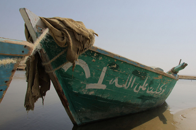 Ship Car To Fayyum