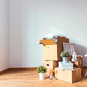 Cheap Movers In Le Mars