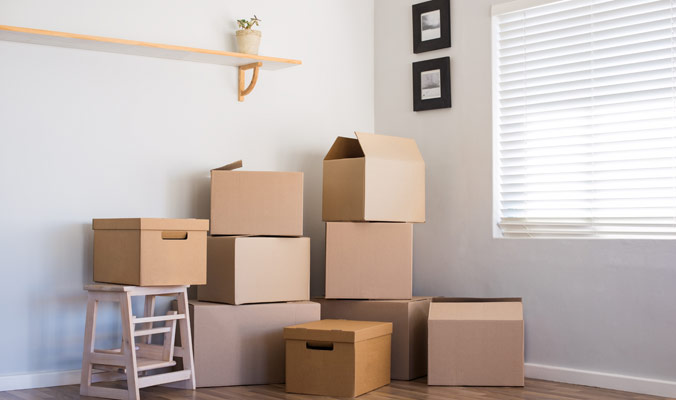 Cheap Movers In Shelton
