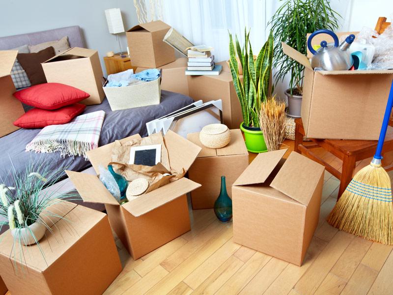 Cheap Movers In Fultondale