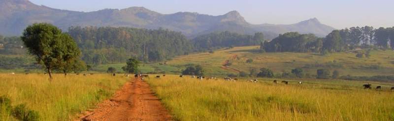 Ship Car To Swaziland