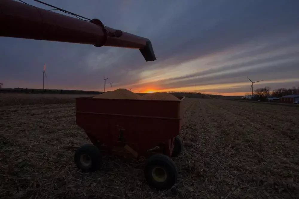 agricultural equipment on the field