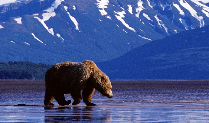 Alaska (AK) State To State Moving Services
