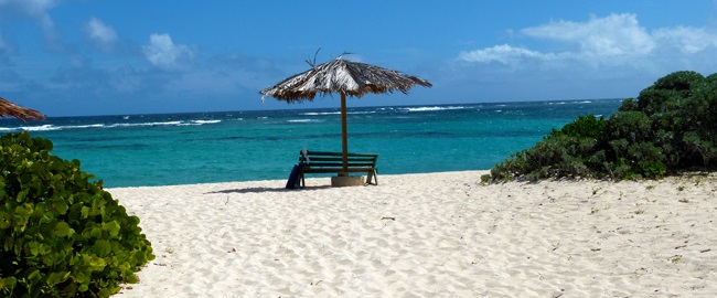 Anegada Vehicle Registration Process