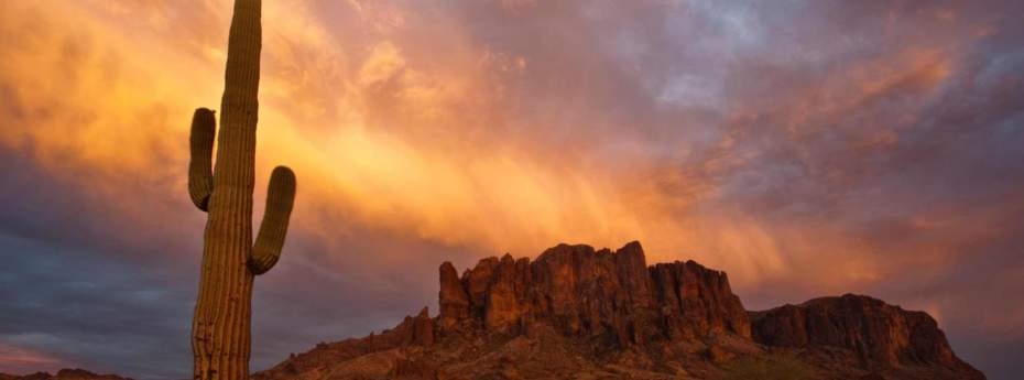 Arizona (AZ) State To State Moving Services