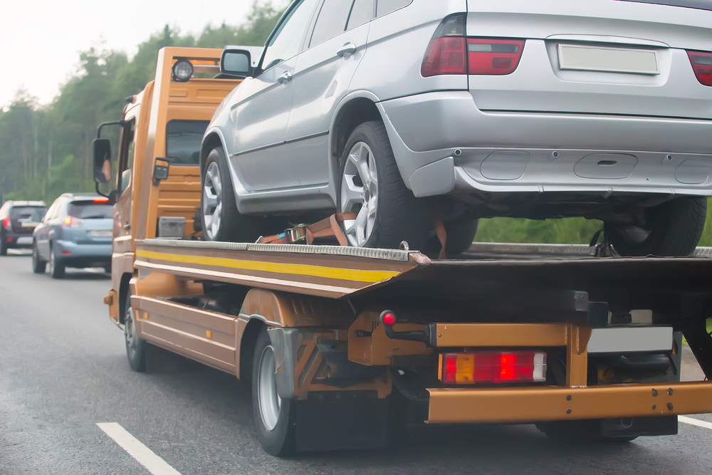 Vehicle Transport Bay County