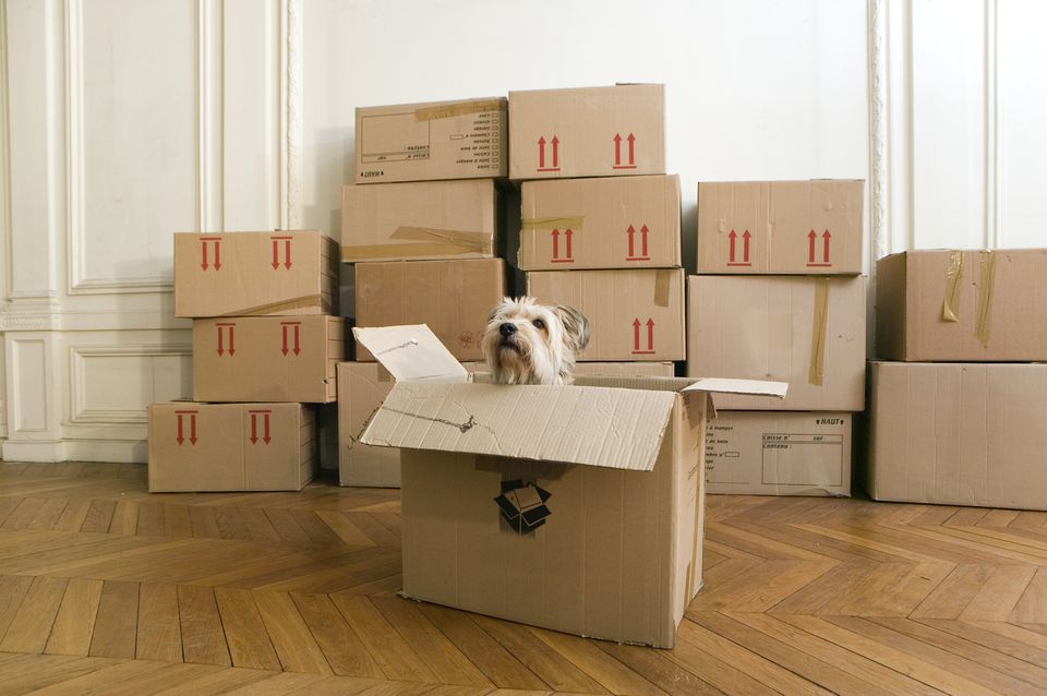 Cheap Movers In Orinda