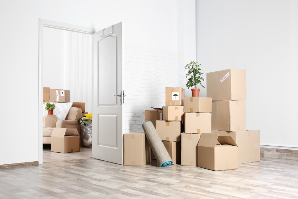 Cheap Movers In Orland