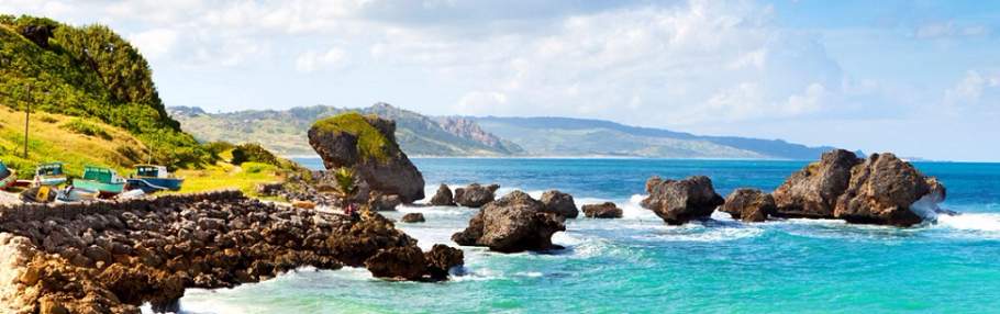 The Best Way to Assure Safety When Shipping a Vehicle to Barbados