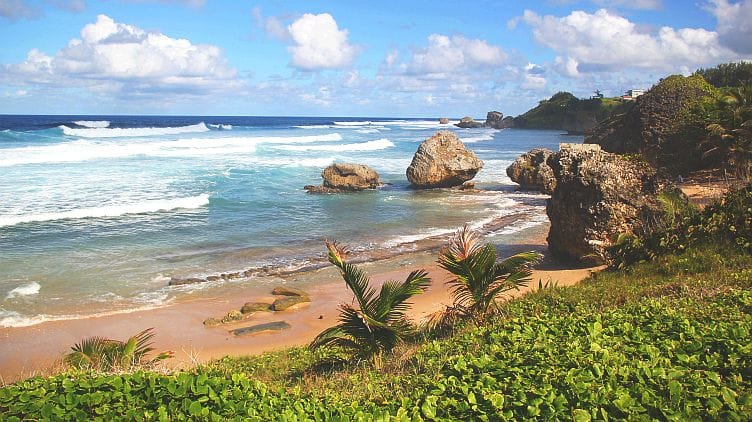 Ship Car To Bathsheba