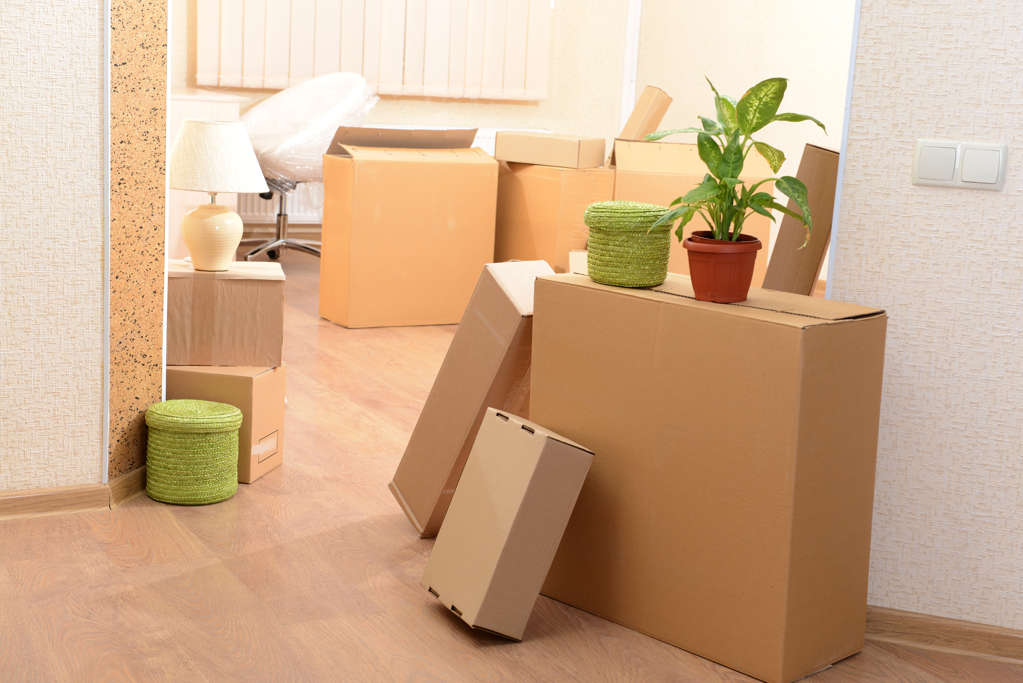 Cheap Movers In West Hollywood