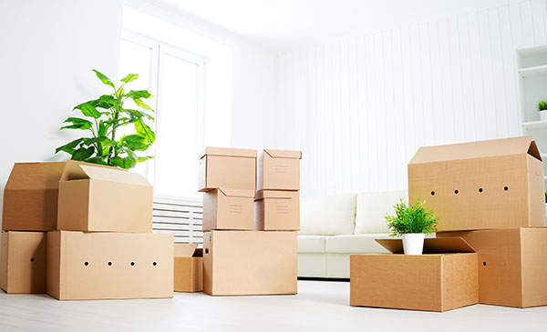 Cheap Movers In Monrovia