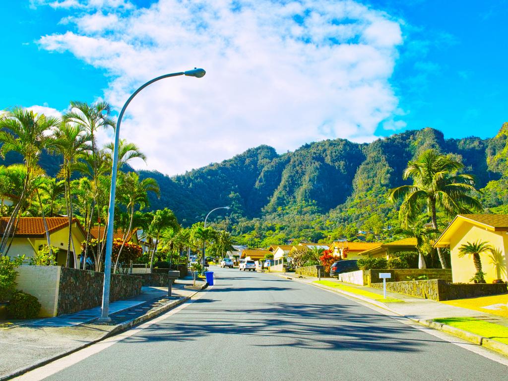 Hawaii (HI) State To State Moving Companies Near Me
