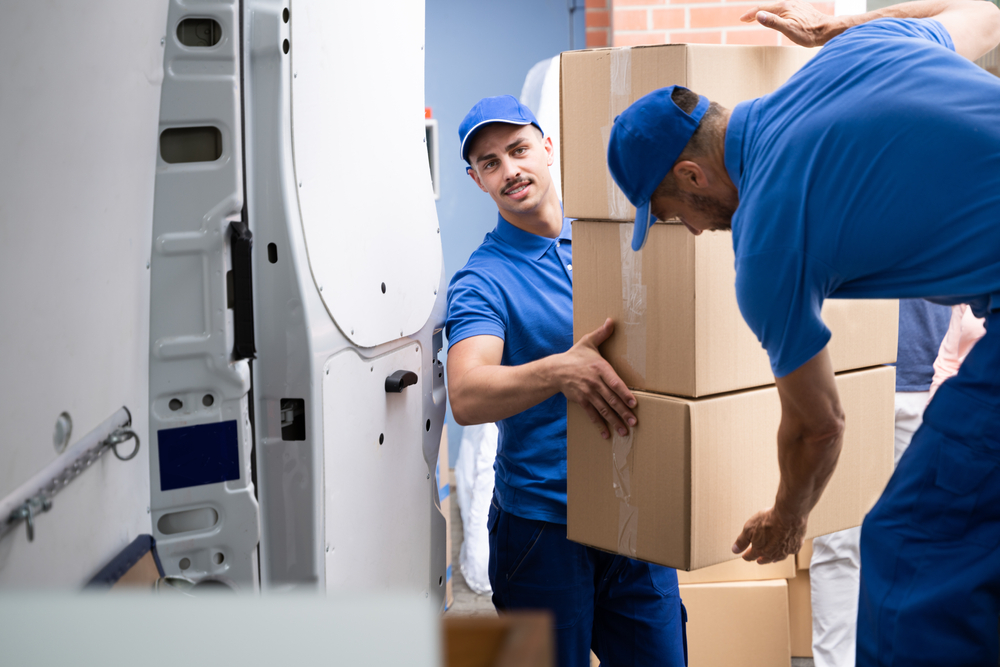 Cheap Best Moving Helpers Satsuma Al