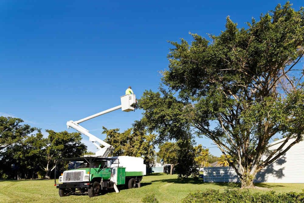 Boom Trucks For Sale