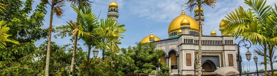 Ship a Car to Brunei from the US Using the Most Cost Efficient Shipping Service