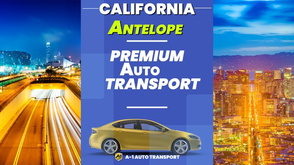 Auto Transport Services & Car Shipping Companies Antelope