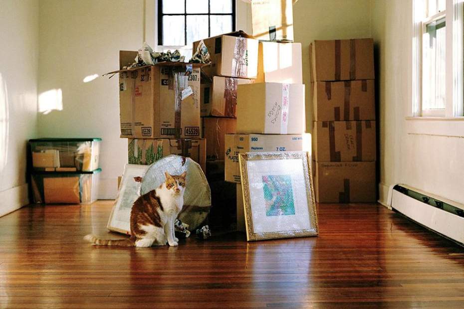 Cheap Movers In Redwood City