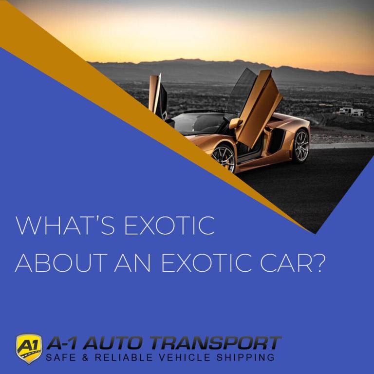 What’s Exotic About an Exotic Car? A Comprehensive Guide to Their High