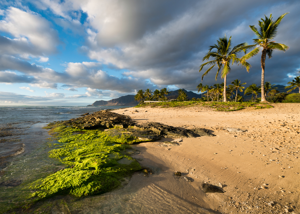 Makaha Motorcycle Shipping
