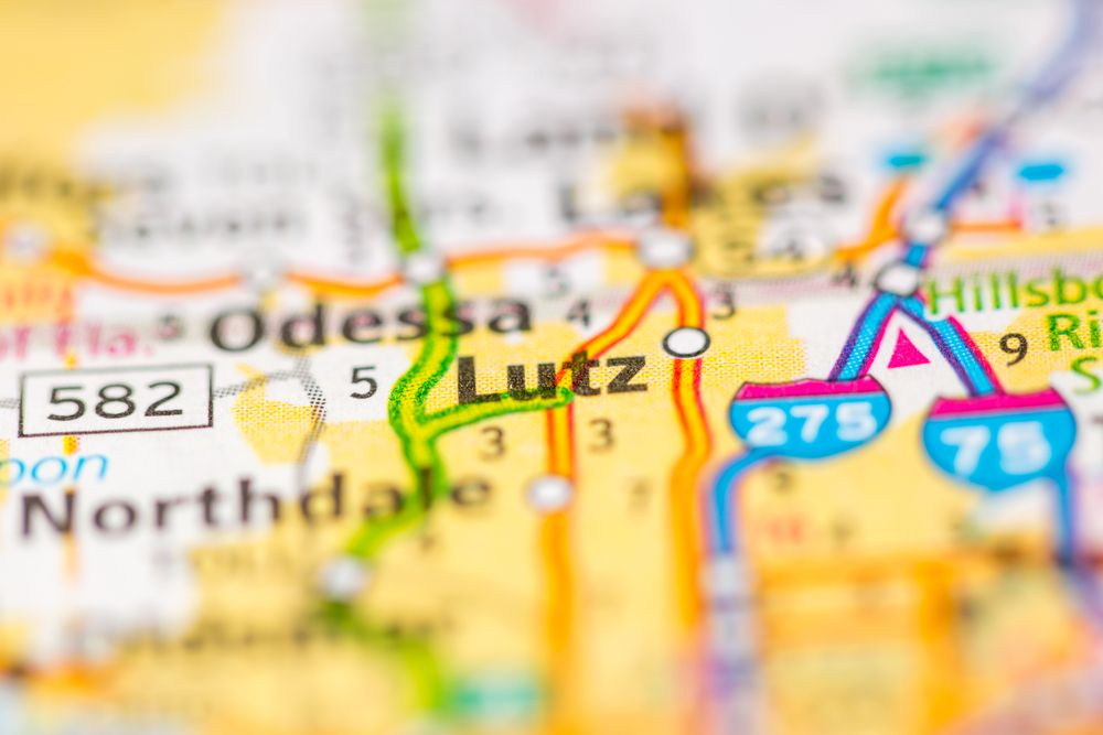 Motorcycle Shipping Companies Lutz Lutz Motorcycle Transport