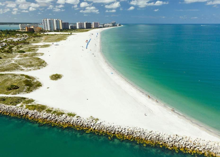 Cheap Movers In Clearwater