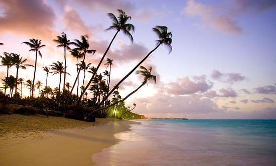 What Are the Advantages of Shipping My Car to the Dominican Republic through an Overseas Transport Company?