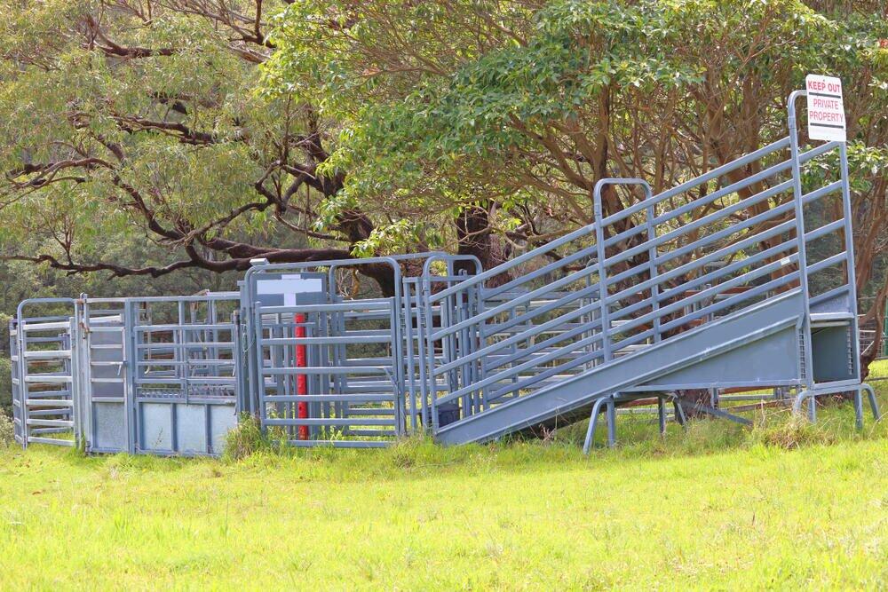 Cattle Chute Carrier with ball hook