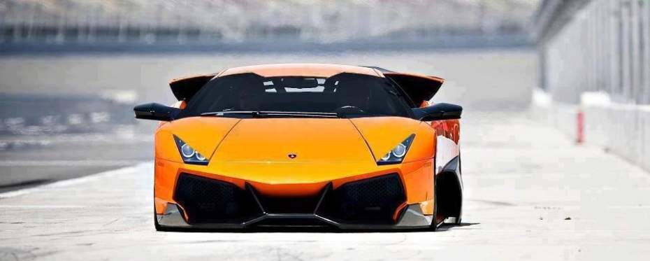exotic1.jpg