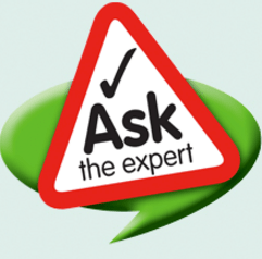 Auto Transport Experts: Pros Answer Your Questions