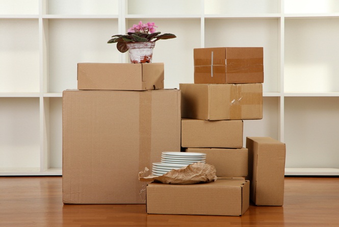 Cheap Movers In Ketchikan