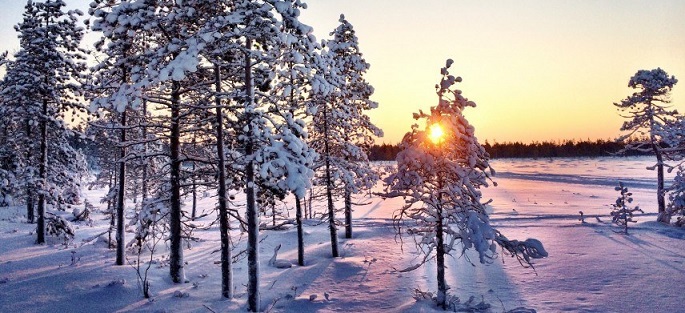 Finland Vehicle Registration Process
