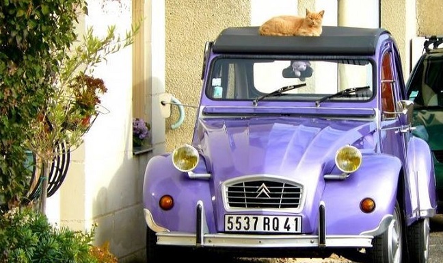 Can I Ship My Car to France?