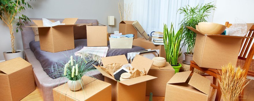 Cheap Movers In Texarkana