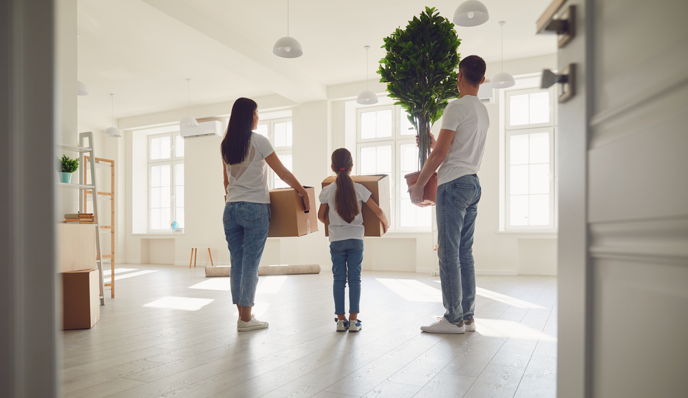 Hire A Professional Mover
