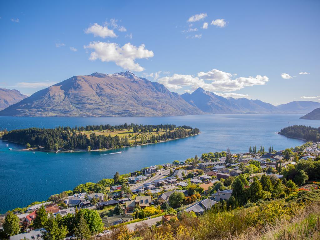 New Zealand Container Shipping