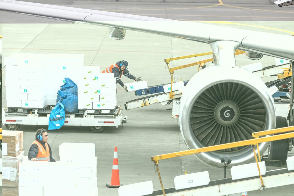 Hawaii to New Jersey Freight Shipping Companies Hawaii to New Jersey