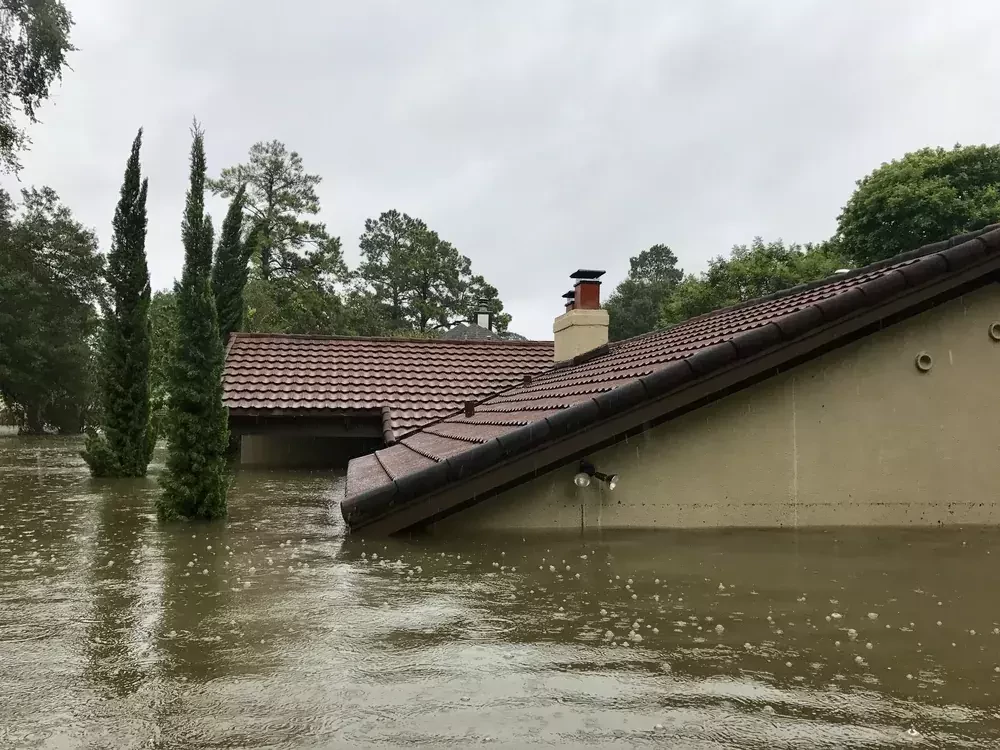 flood in a city