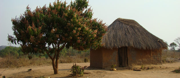 Ship Car To Kadoma