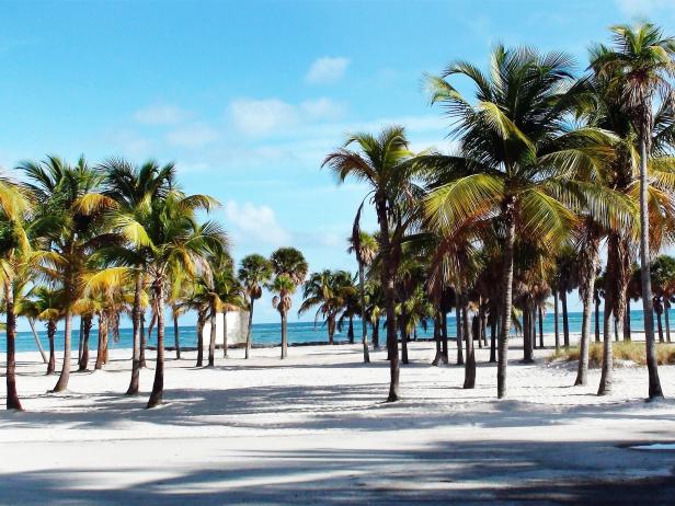 Cheap Movers In Key Biscayne