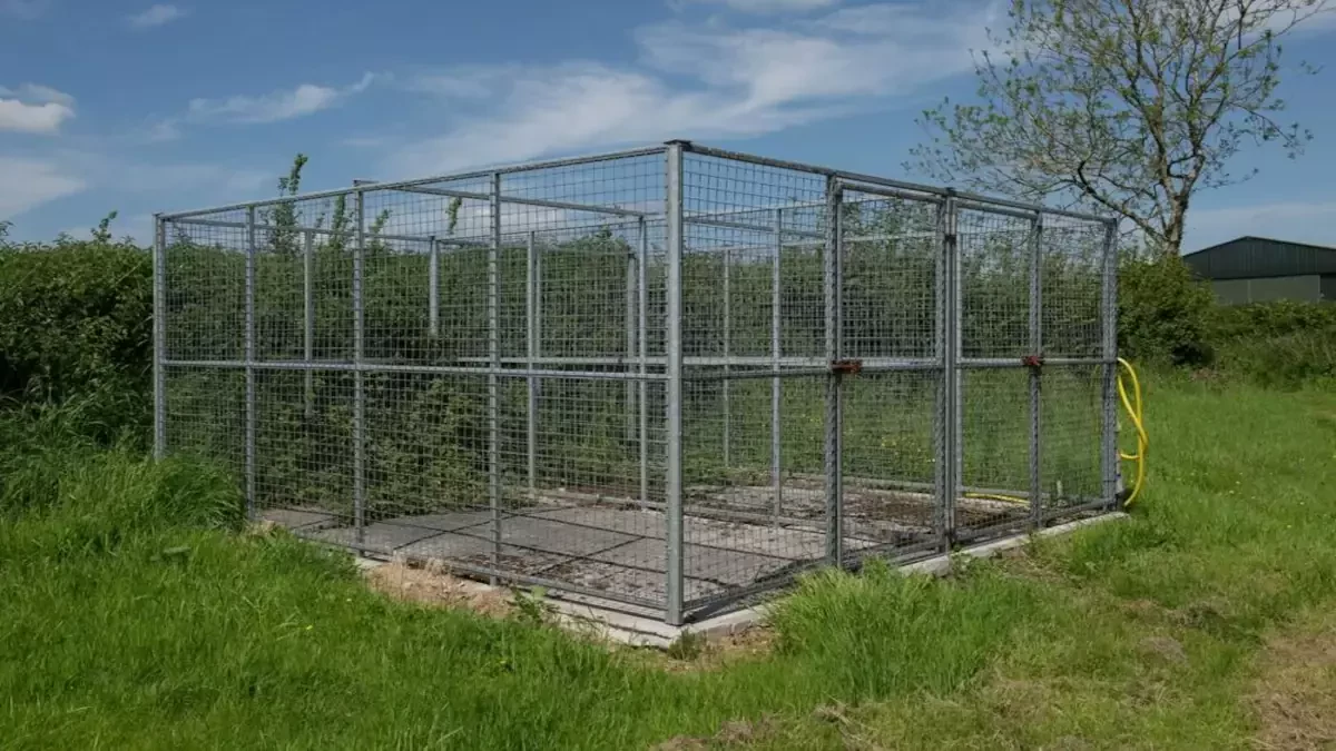 kennel Transport