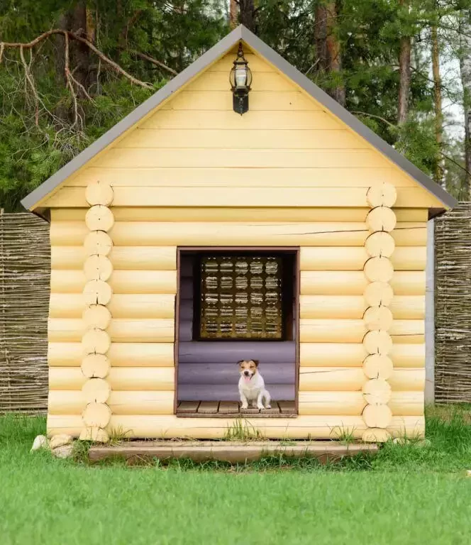 a mini dog house