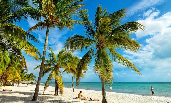 Cheap Movers In Key West
