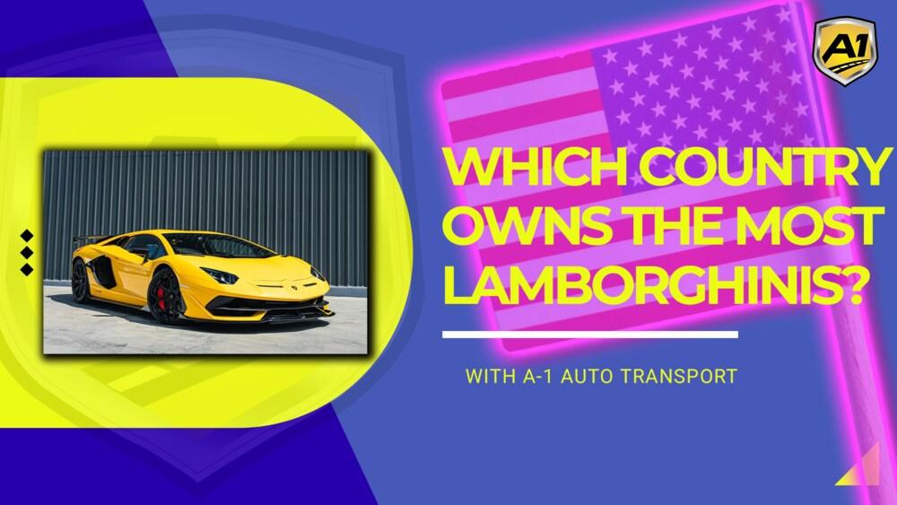 Which Country Owns the Most Unveiling the Global