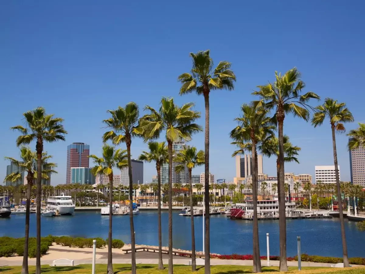 Long Beach Freight Forwarders & Logistics Companies