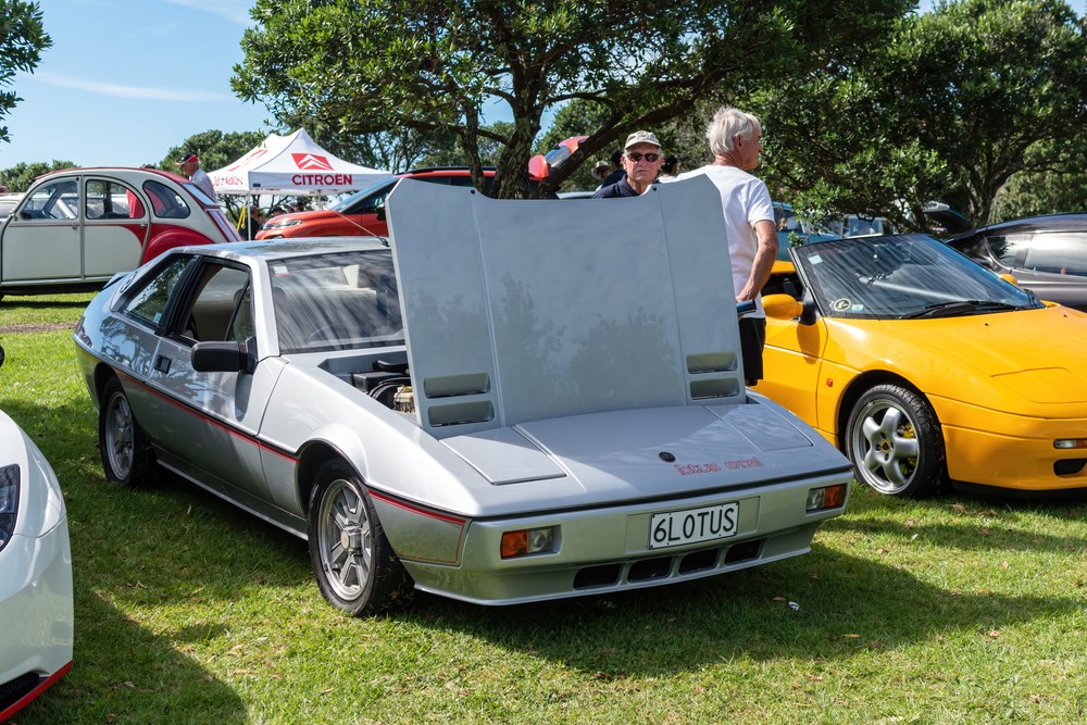 lotus-excel.jpg