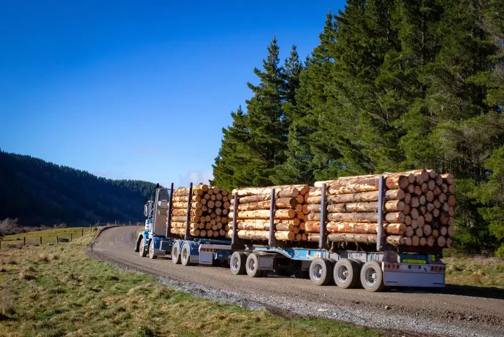 large truck transporting logs along a scenic country road