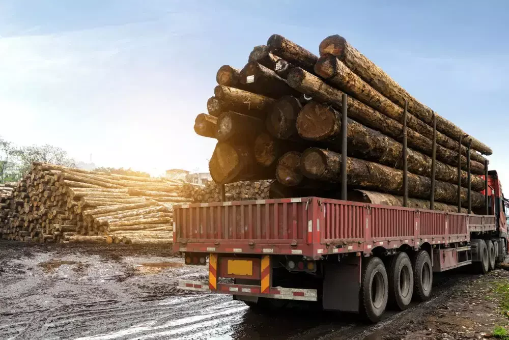lorry delivering wood on a highway