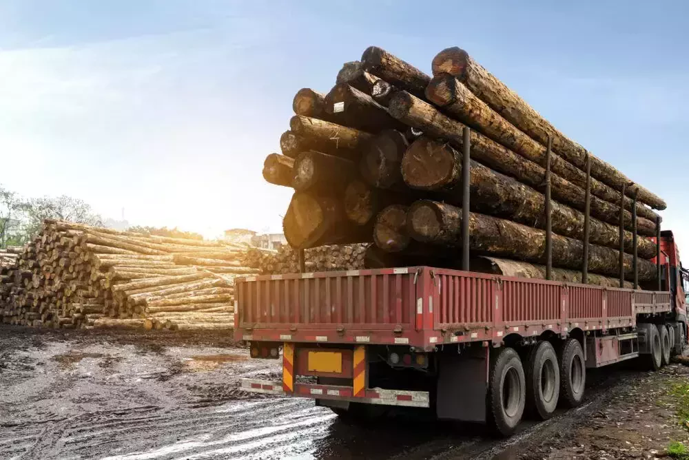lorry delivering wood on a highway